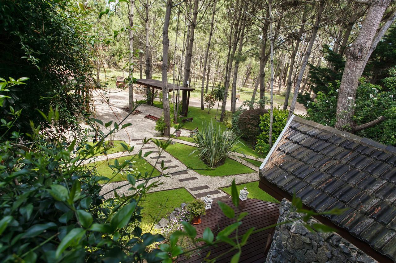 La Mandrágora Apartahotel